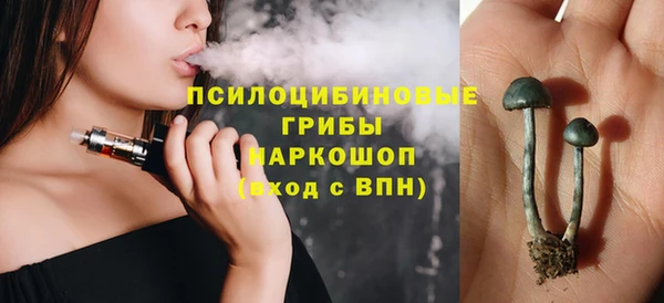 мет Алексин