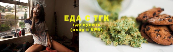 мет Алексин