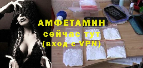 мет Алексин