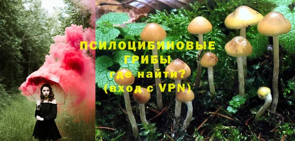 хмурый Алексеевка